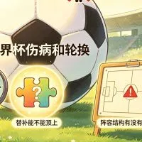 世界杯伤病和轮换影响有多大？附阵容变化风险评分表文章封面
