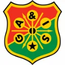 盖斯队标